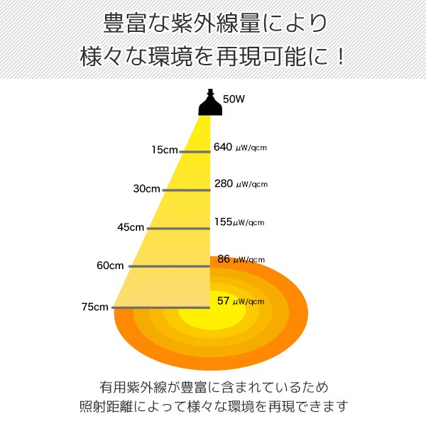 ゼンスイ ソラリウム 50Wセット (メタルハライドランプ+共通安定器+