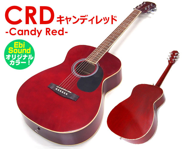 ARIA（アリア） アコースティックギター アコギ 初心者 超入門 9点