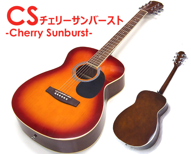 ARIA（アリア） アコースティックギター アコギ 初心者 超入門 9点