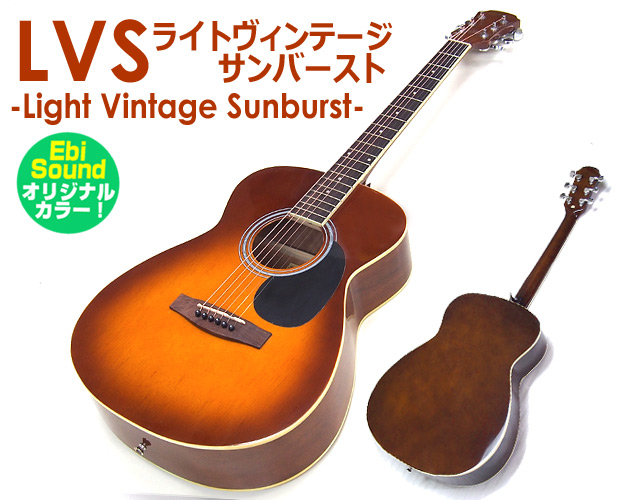 ARIA（アリア） アコースティックギター アコギ 初心者 超入門 9点