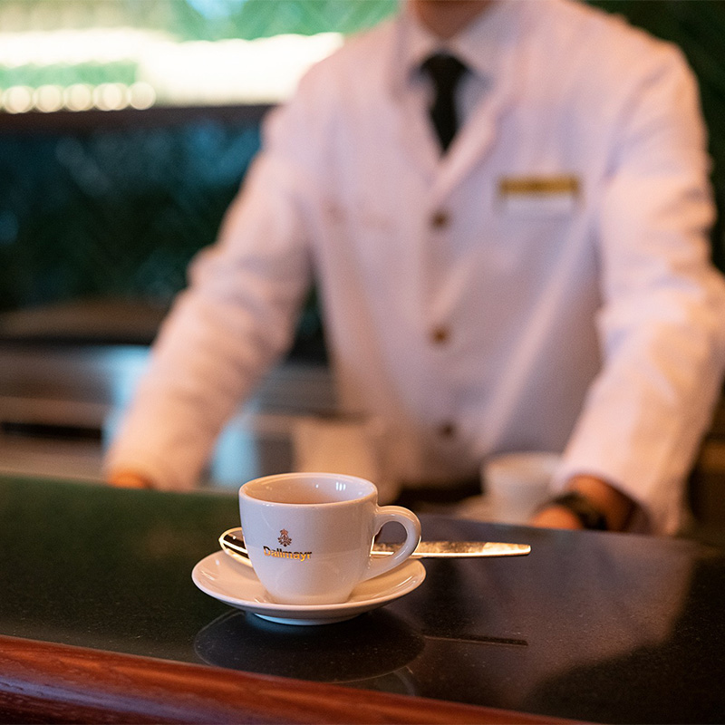 Dallmayr prodomo 真空パック 中細挽きコーヒー 250g ダルマイヤー