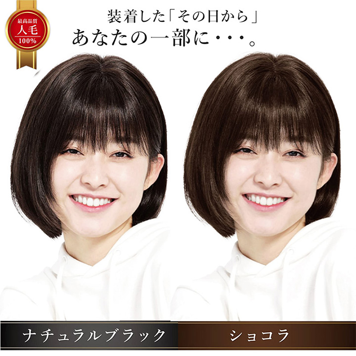 TefuRe（テフリ） 【廃番セール 返品交換不可】SLEEK 人毛100