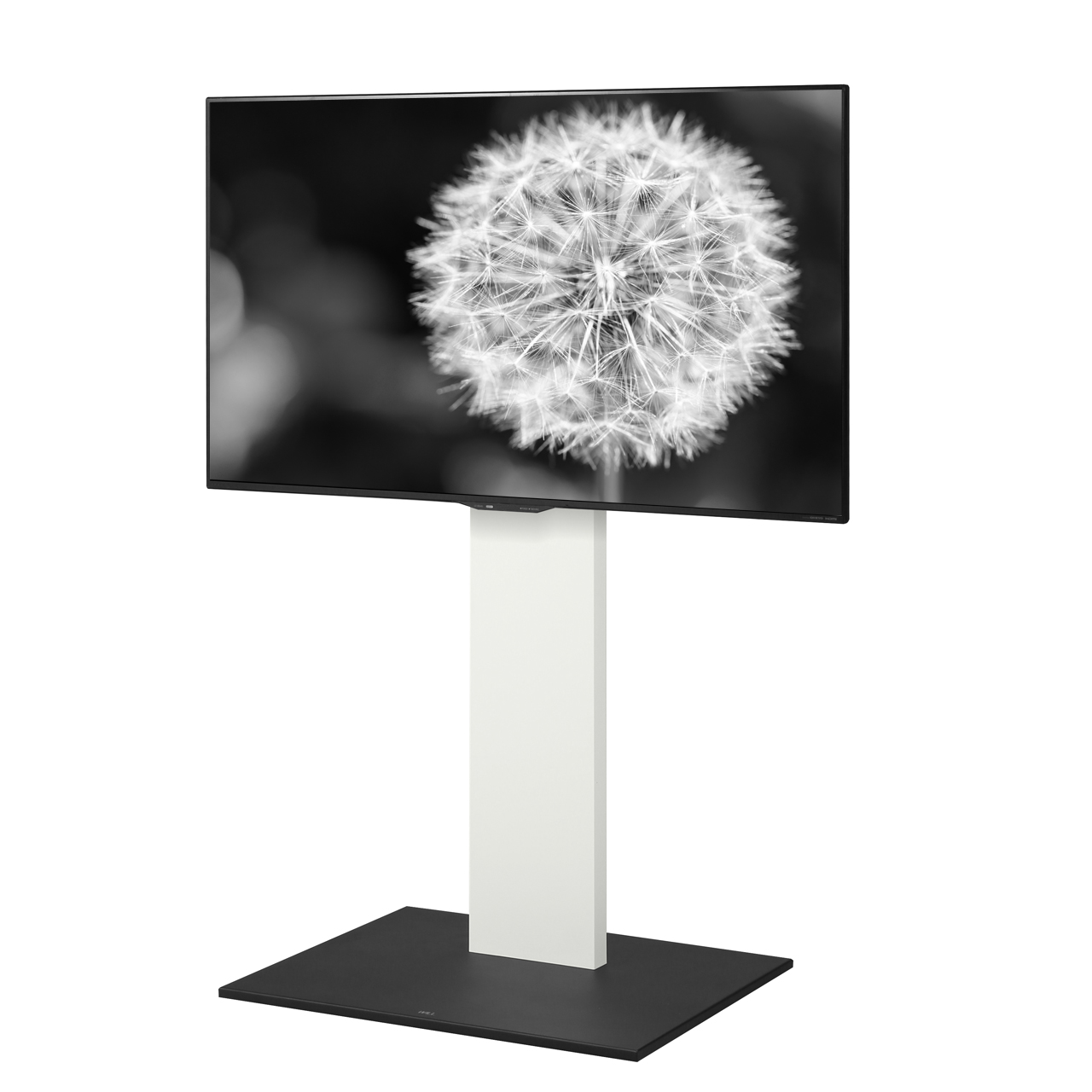 EQUALS（イコールズ） テレビ台 WALL テレビスタンド V2 CASTER 2020