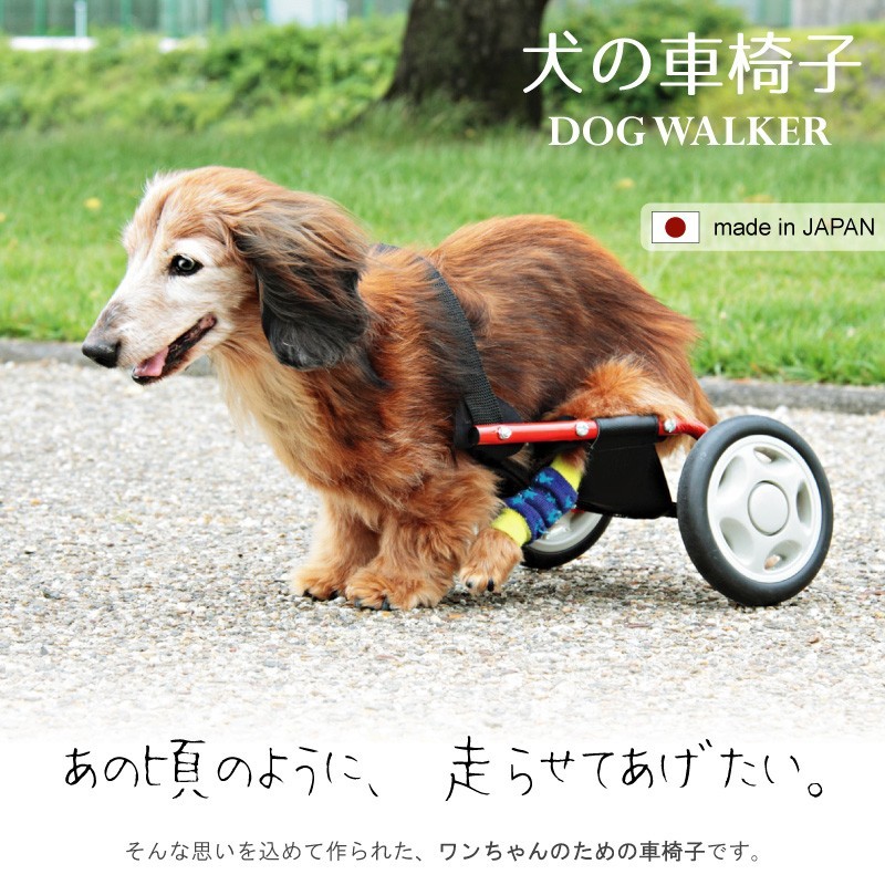 東谷 犬用車椅子 犬の車椅子 ミニチュアダックスフンド専用 日本製