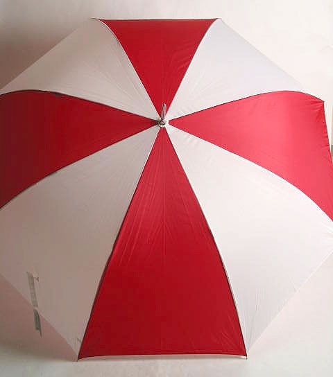 実効直径125cm 出迎え傘 ゴルフ傘 長傘:傘骨8本の長洋傘 親骨75cmの