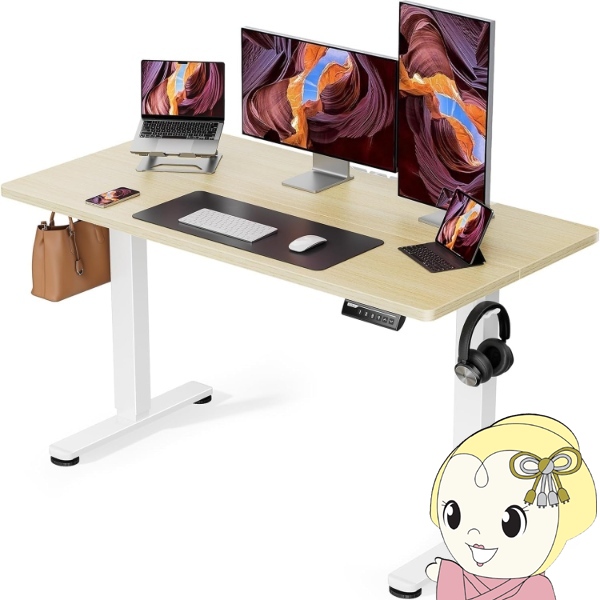 メーカー直送】 ErGear 電動昇降デスク 昇降式デスク スタンディング