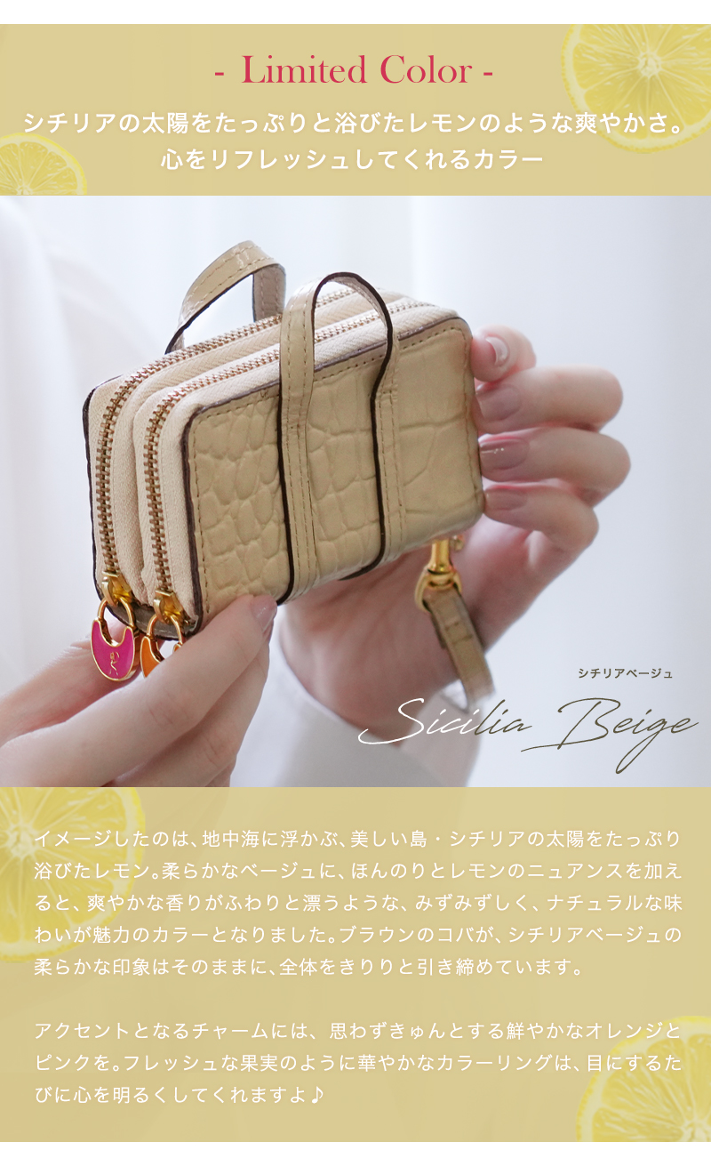 ROBERTA DI CAMERINO（ロベルタ・ディ・カメリーノ） 【ロベルタ