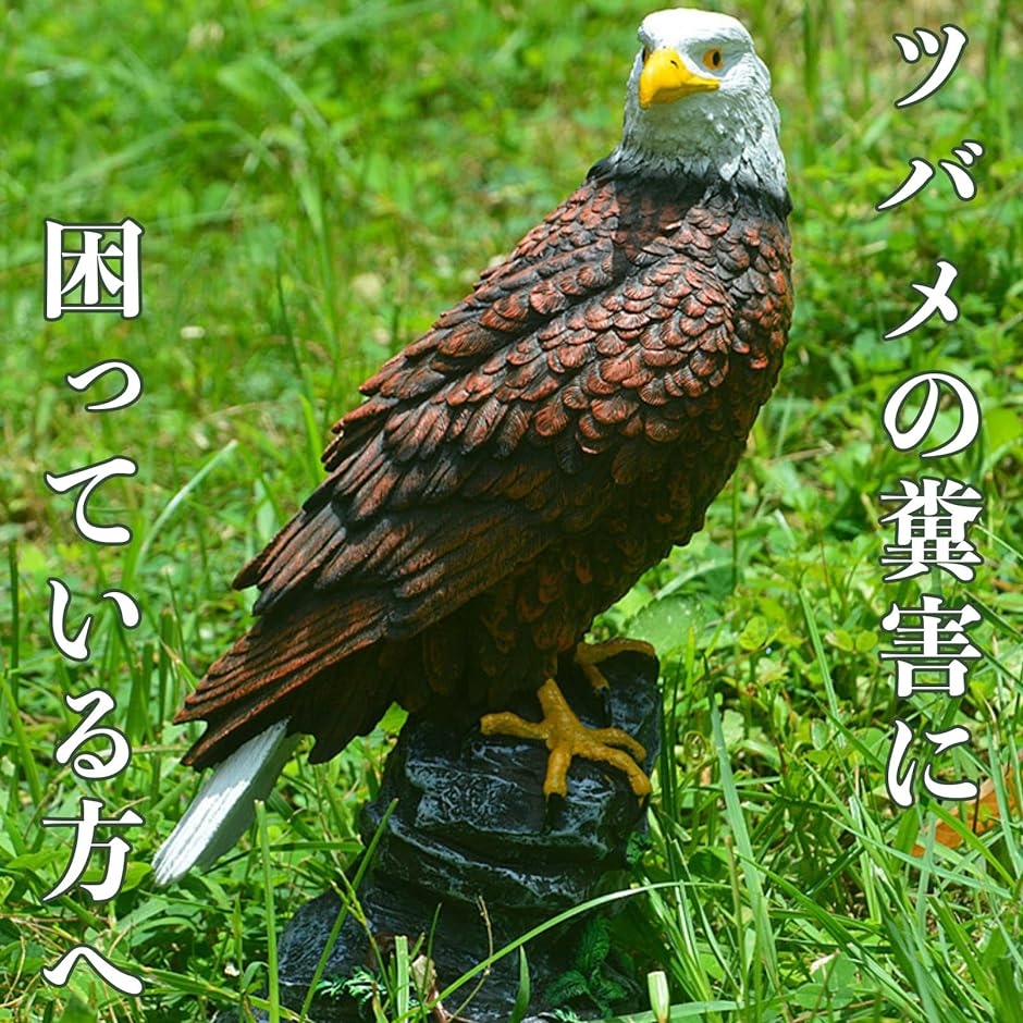 鷹 置物 害鳥 対策 鳥よけ 害獣対策 カラス 鳩 撃退 飾り 鷲 オブジェ