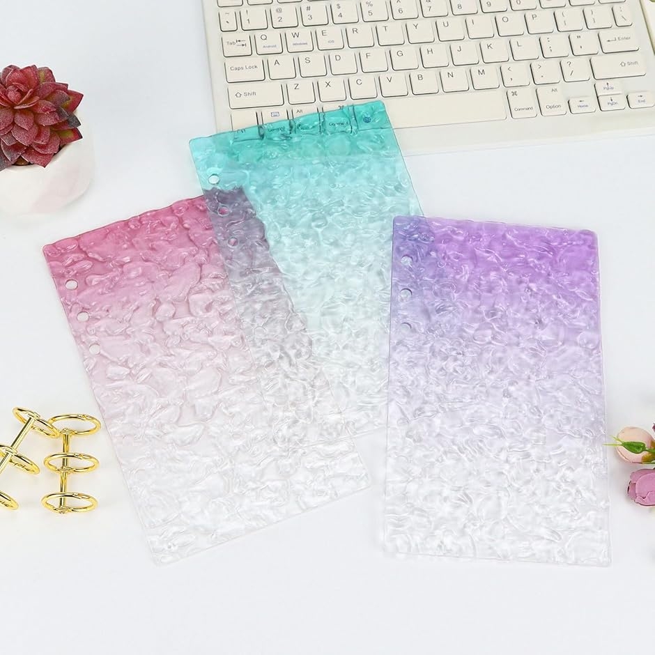 バインダー貯金 韓国 アクリルバインダー A6 お金管理 ファイル 貯金