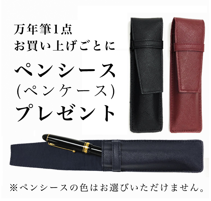 PILOT（パイロット） 万年筆 カスタム74 ブラック FKKN-12SR-B（ペン種