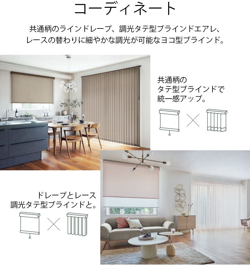 タチカワブラインド ロールスクリーン ラルクシールド ライフ RS-1751