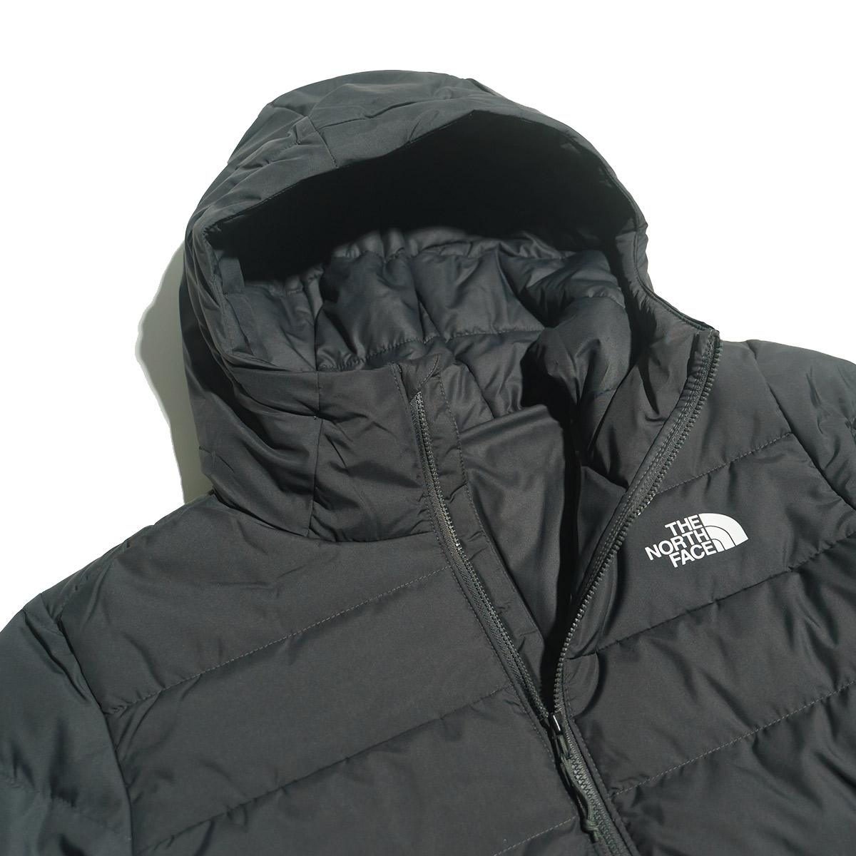 THE NORTH FACE（ザ ノースフェイス） アコンカグア3 フーディー