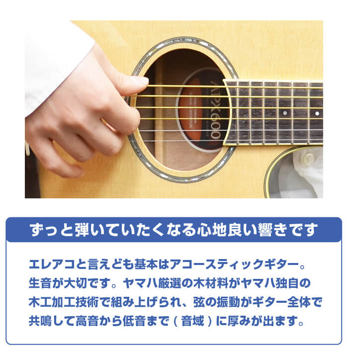 YAMAHA（ヤマハ） アコースティックギター 初心者 セット YAMAHA