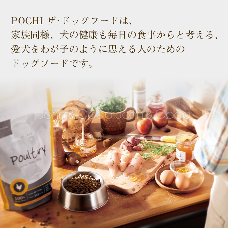 POCHI（ポチ） ザ・ドッグフード ベーシック ワイルドサーモン 3kg