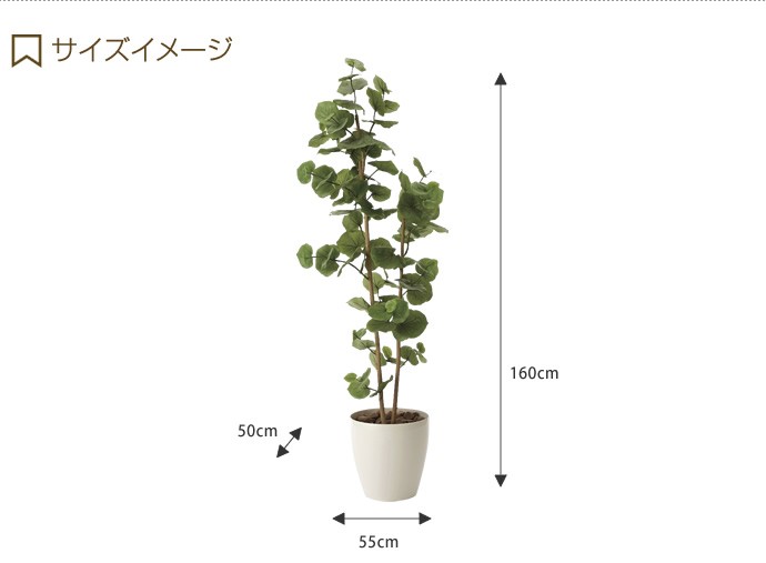 観葉植物 シーグレープ sea grape 室内 イミテーショングリーン : 家具
