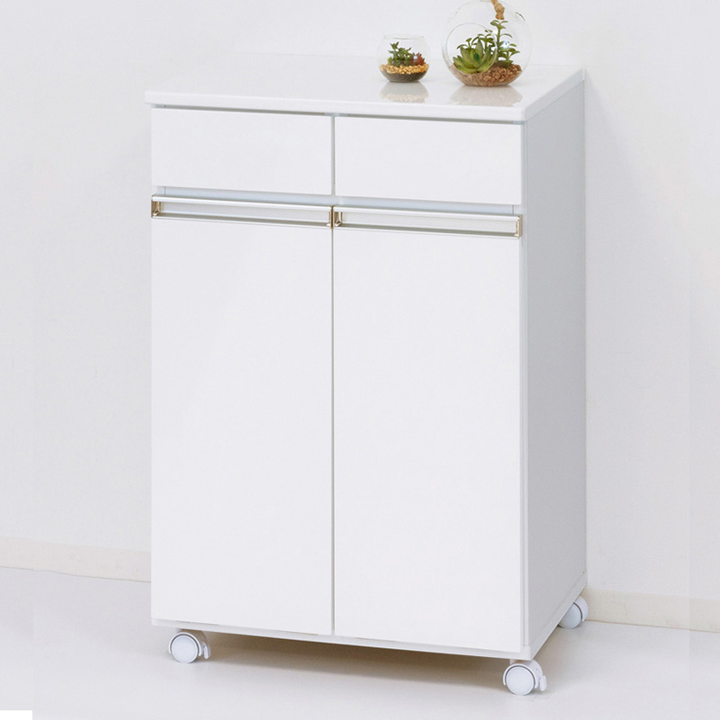 ダイニングダストボックス2D ごみ箱 2分別 台所用 生ごみ 背面美人