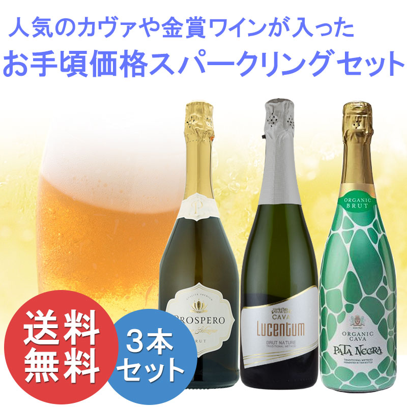 厳選 スパークリング ワイン セット 3 本 辛口 飲み比べ スペイン