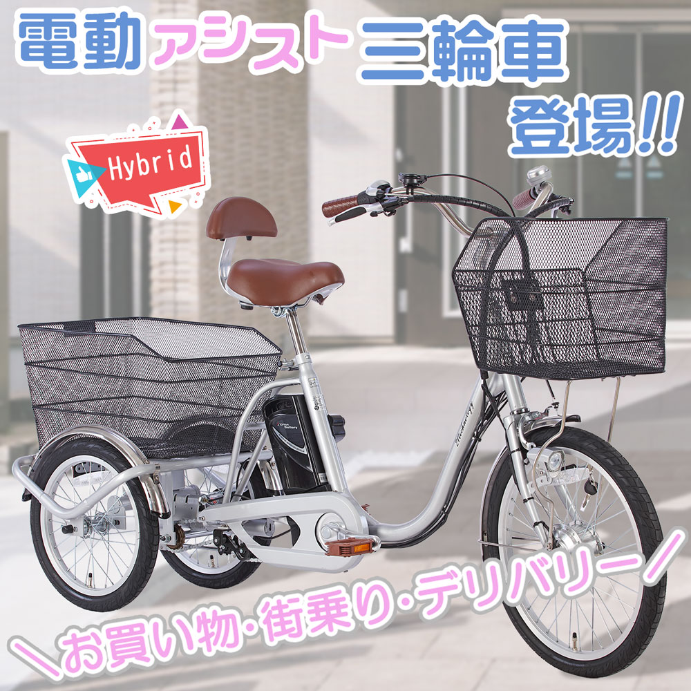 21Technology 三輪車 電動三輪車 電動三輪自転車 電動アシスト三輪車