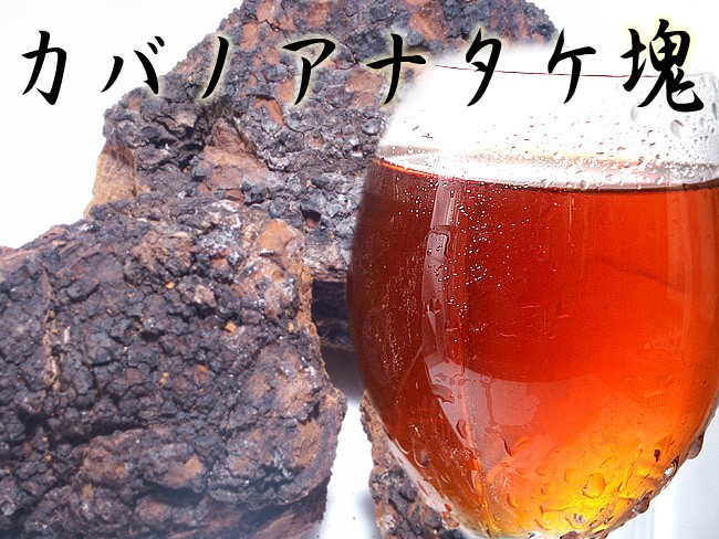 カバノアナタケ茶（かばのあなたけ茶）チャーガ茶100% 塊（原体)700g