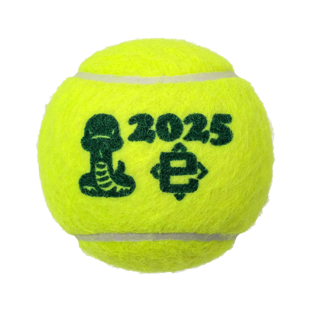 DUNLOP（ダンロップ） 『即日出荷』ダンロップ テニステニスボール