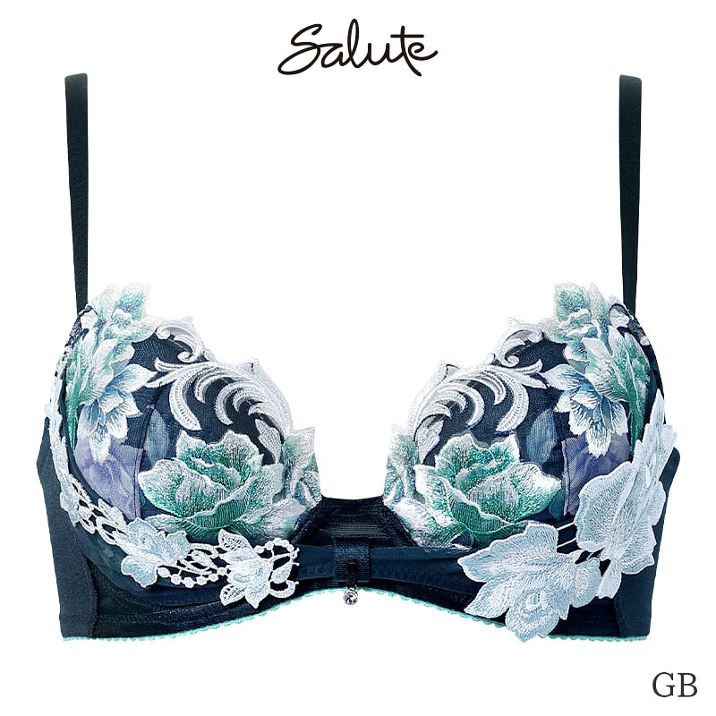 サルート（SALUTE） Salute 26グループ ワコール ブラジャー 3/4カップ