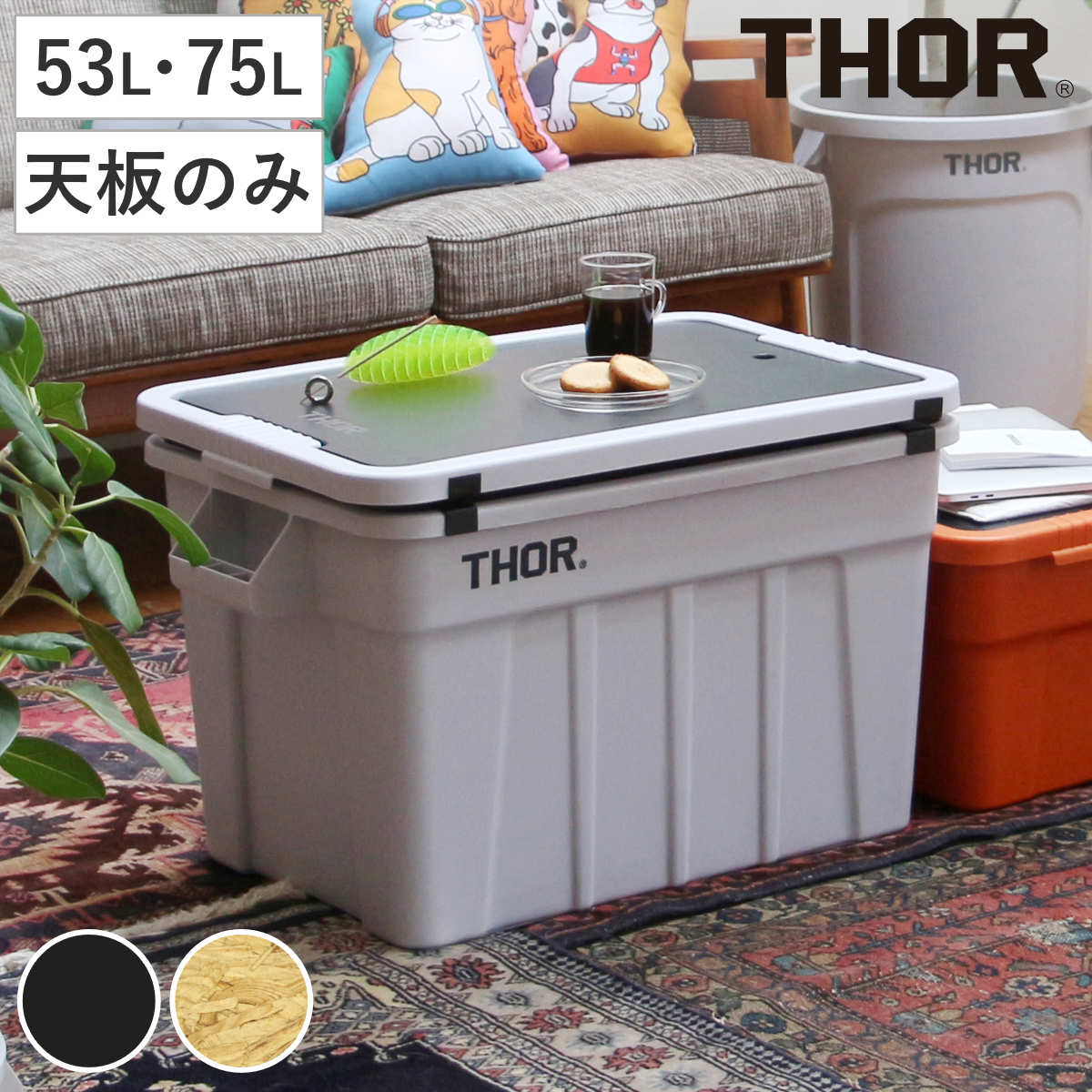thor コンテナ 75l」の人気商品一覧 | 安い商品を通販サイトから探す