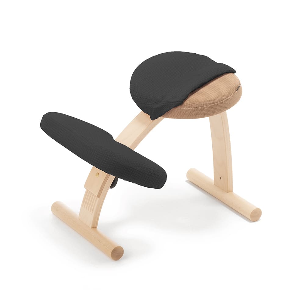 バランスラボ バランスチェア バランスチェアー バランスイージー