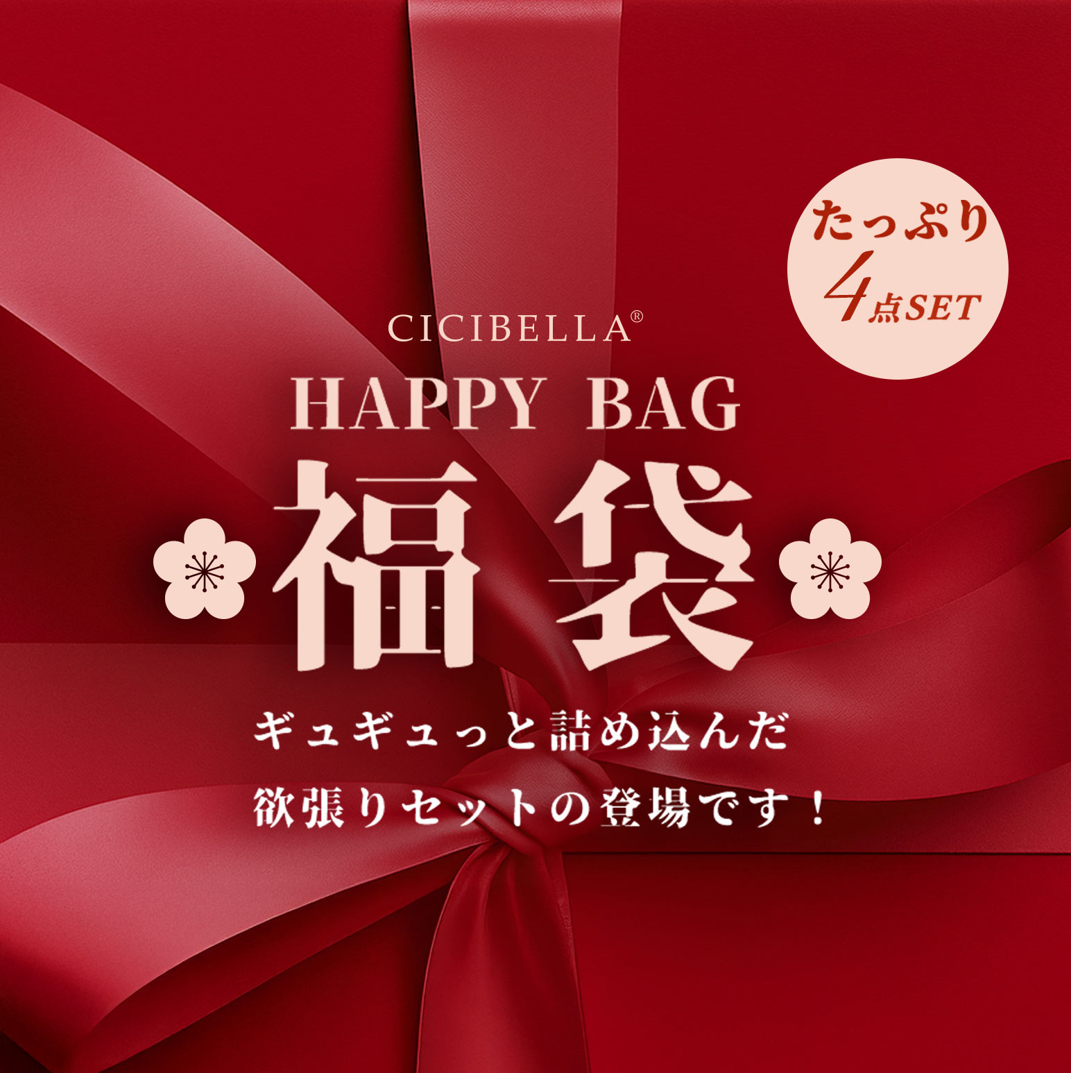 CICIBELLA 2026年新春福袋 4点入り スーツケース Sサイズ 帽子 機内