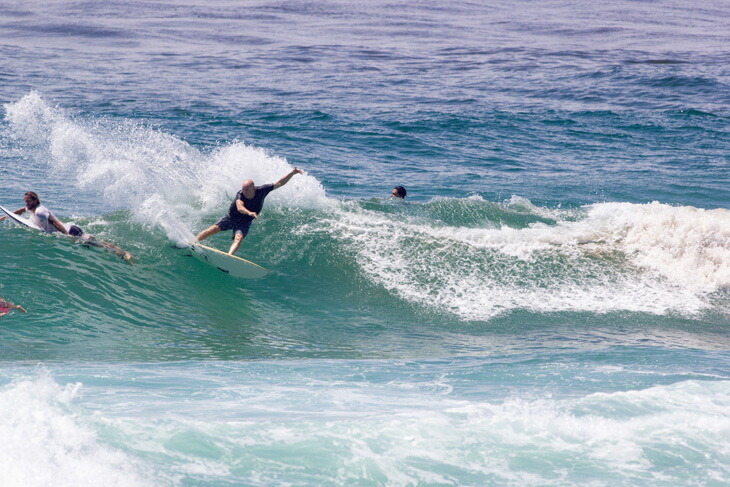 ミックファニング ソフトボード サーフボード CATFISH 5'10 キャット