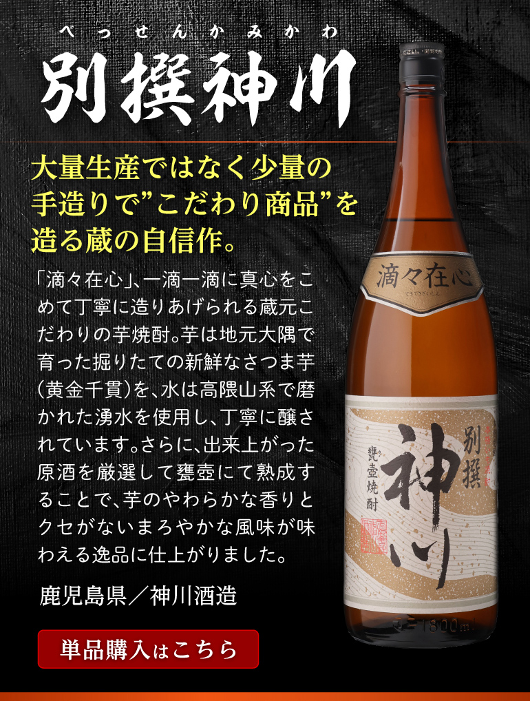 焼酎 芋焼酎 10本飲み比べセット 忘年会 年越し お正月に！ 焼酎 芋