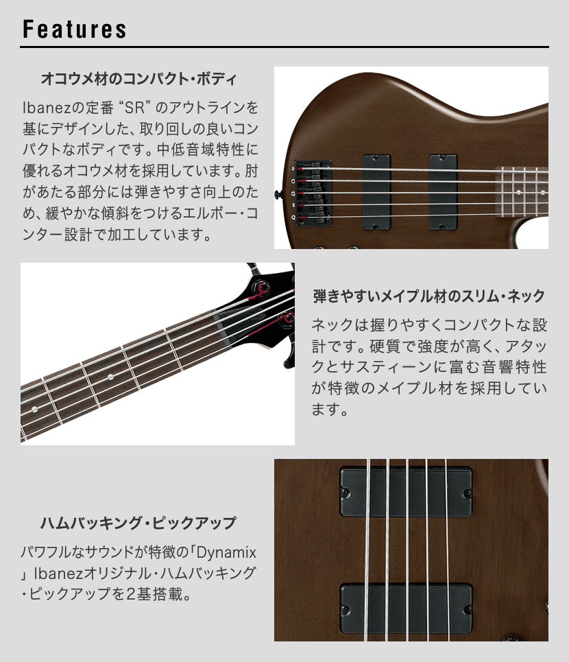 Ibanez（アイバニーズ） GIO Ibanez ジオアイバニーズ 5弦エレキベース