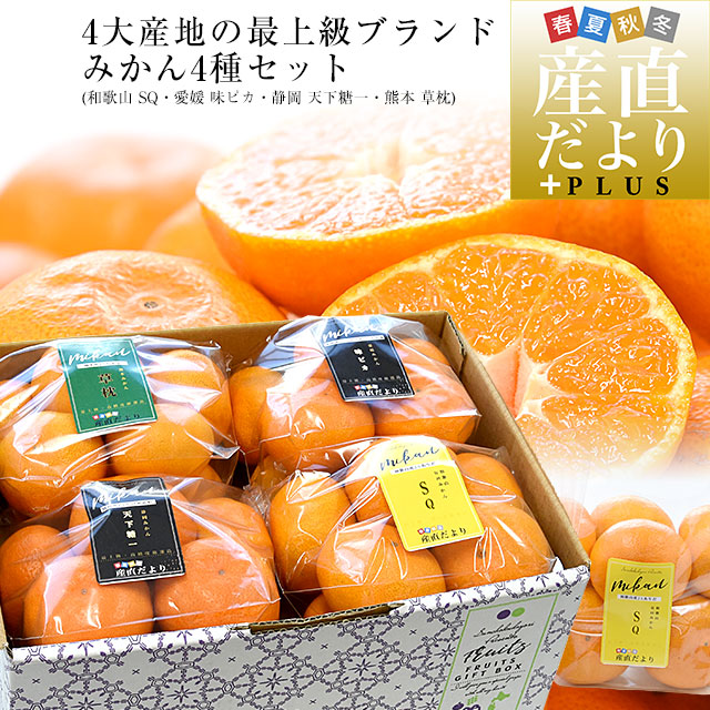 みかん】セラミック 透明紙 4000粒 +10%増量 清見 - 上野果樹園