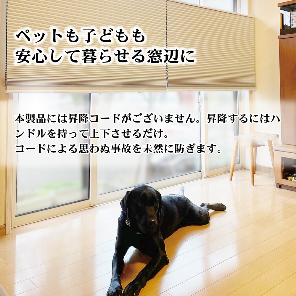 スマイル商店 コードレス ハニカムシェード レースタイプ 上下開閉 丈