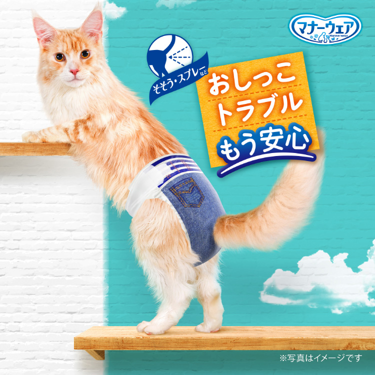 マナーウェア ねこ用 Lサイズ ( 28枚入 )/ マナーウエア : 爽快