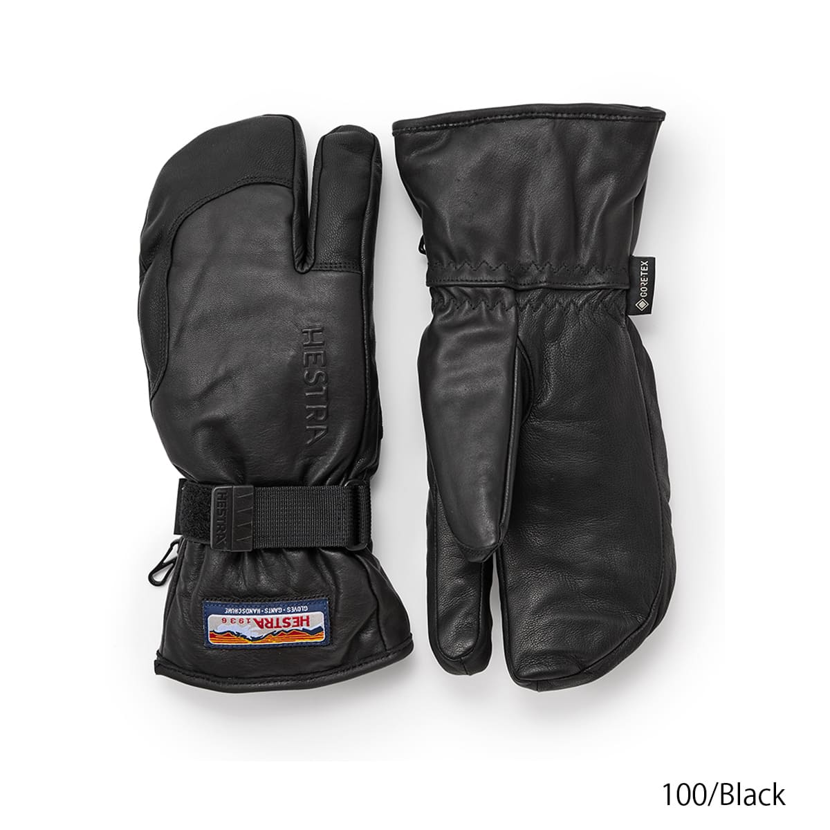 HESTRA（ヘストラ） 【エントリーでP最大17倍！1日まで】HESTRA スキー