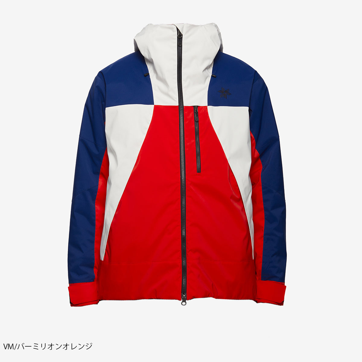 GOLDWIN（ゴールドウイン） 【エントリーでP最大17倍！1日まで】スキー