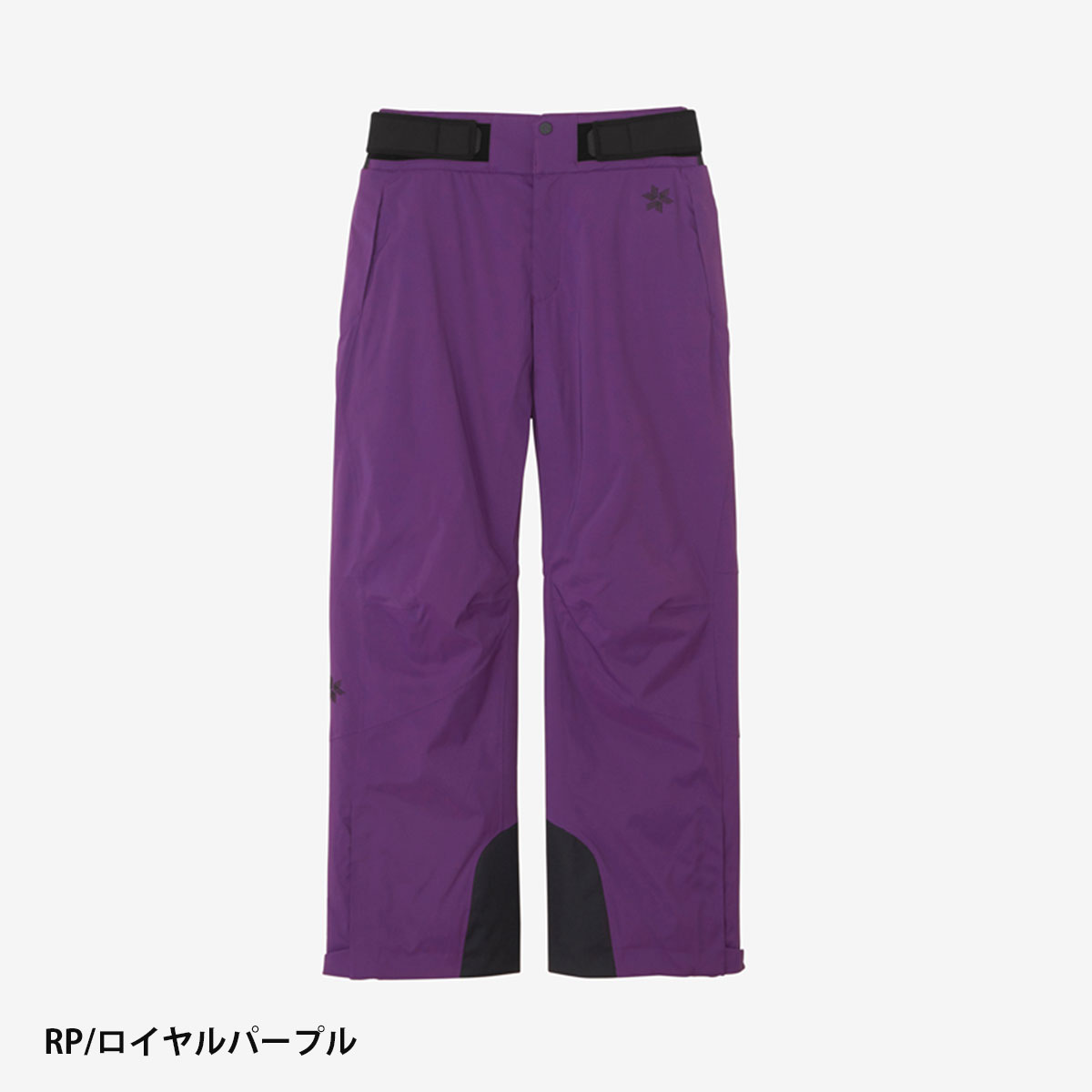 GOLDWIN（ゴールドウイン） 【エントリーでP最大17倍！1日まで】スキー