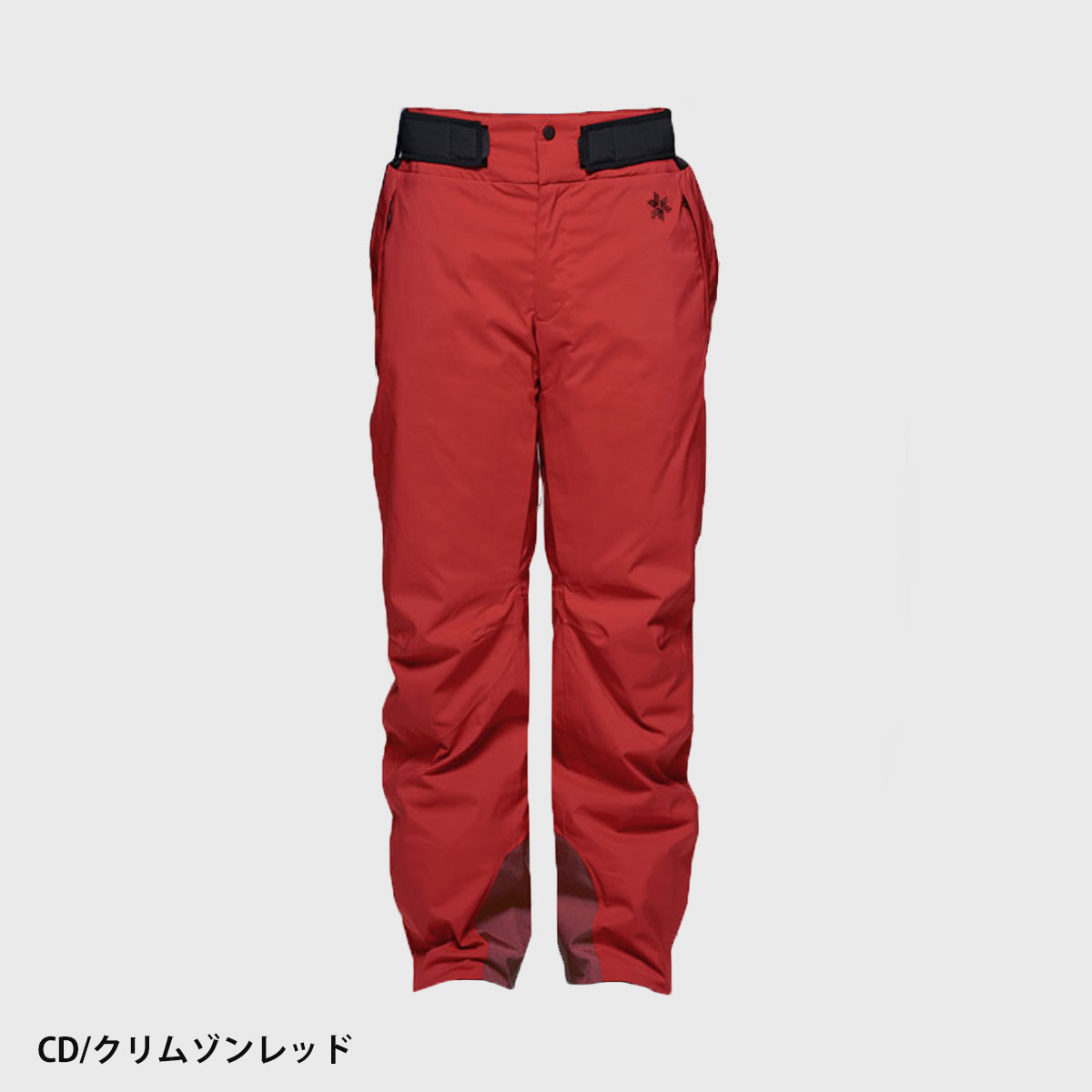 GOLDWIN（ゴールドウイン） 【エントリーでP最大17倍！1日まで】スキー