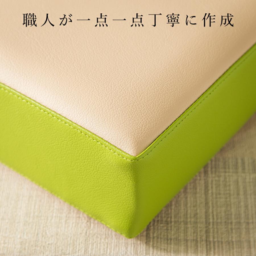 クッション フロクッション 「CO-LEON」 おしゃれ お手入れ簡単