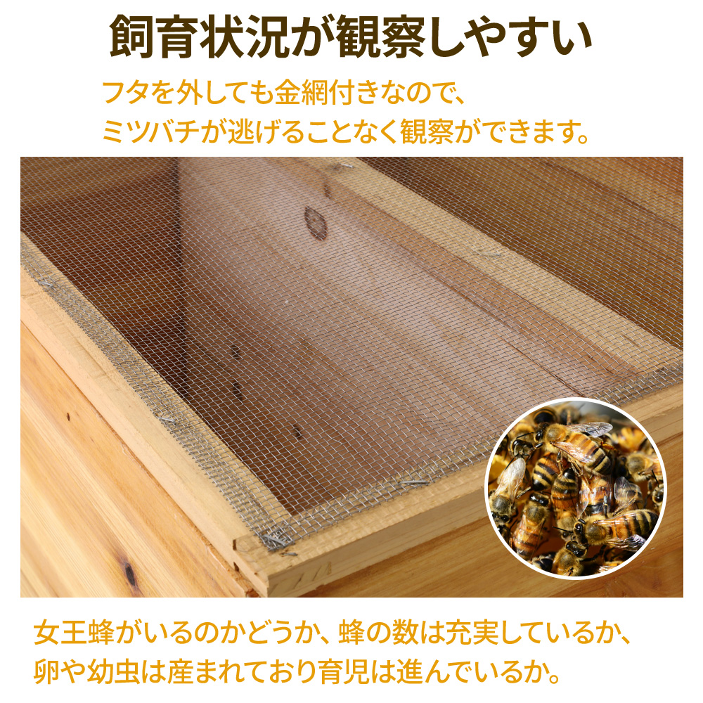 ミツバチ 養蜂 器具 西洋 巣箱 ミツバチ箱 飼育 セット 道具