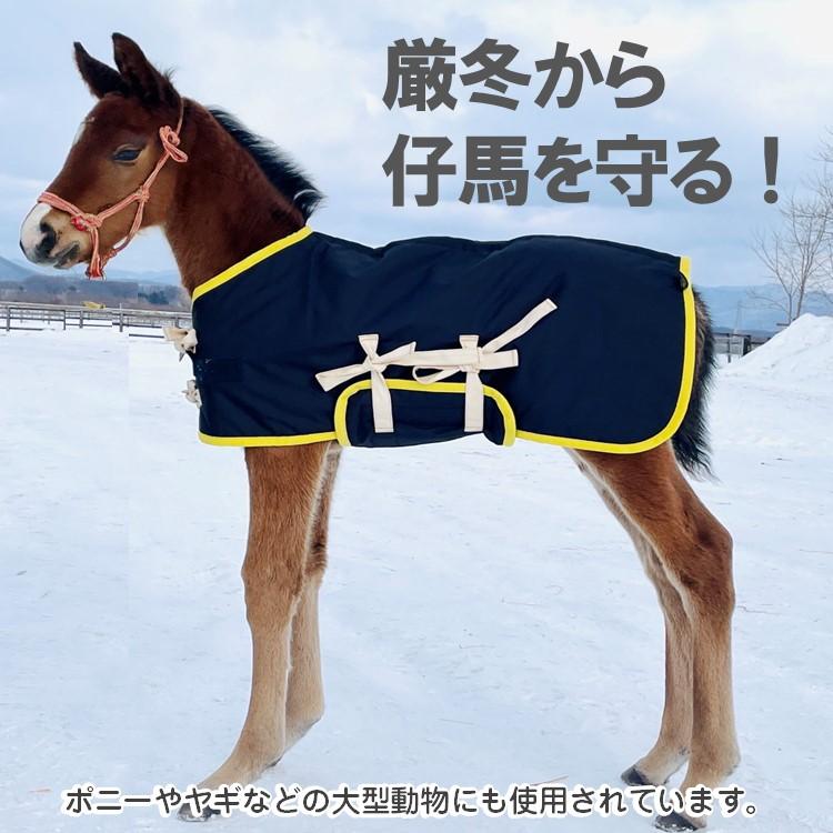 当歳 馬服 Lサイズ 腹当て付き 裏面アルミ キルティング 子馬 仔馬