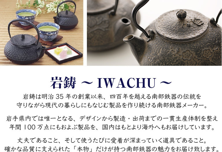 岩鋳（IWACHU） 鉄瓶 南部鉄瓶 5型新アラレ 南部鉄器 日本製 直火