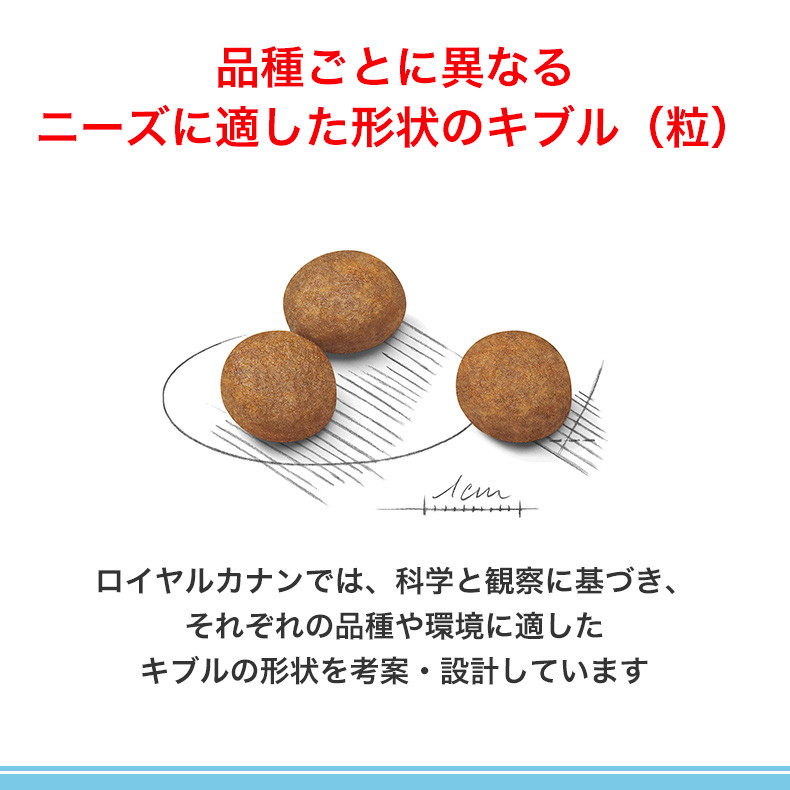 ロイヤルカナン（ROYAL CANIN） 【お得な4個セット】ロイヤルカナン