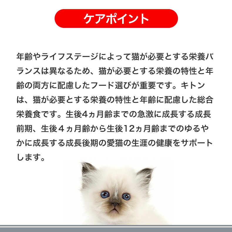 ロイヤルカナン（ROYAL CANIN） キトン 10kg / 成長後期の子猫用（生後
