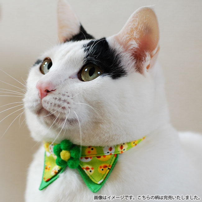 猫の首輪 やわらかデニム 動物プリントちょこえり猫首輪 Mサイズ