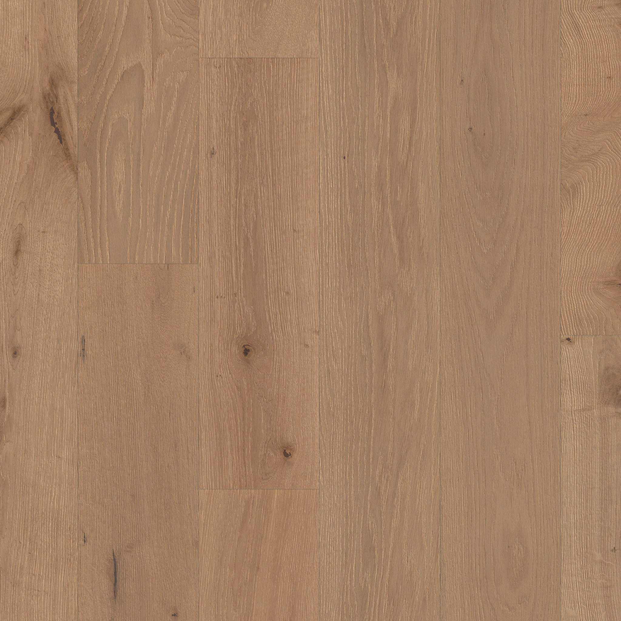 Carpentry Oak - Wire Brushed Hardwoods Flooring in Honeycomb