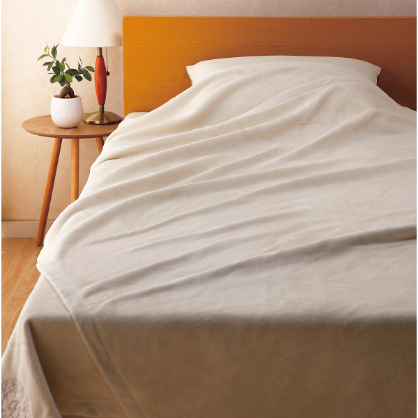 nishikawa シルク・コットンリバーシブル毛布（毛羽部分）2