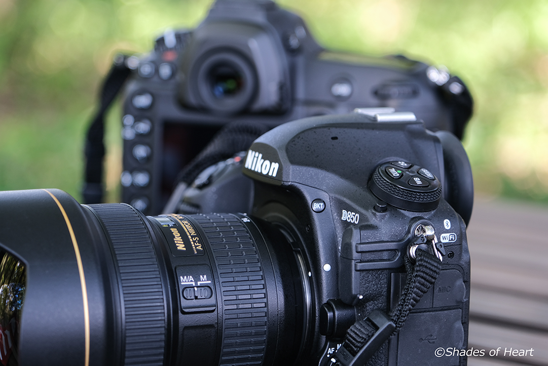 Nikon D850 | Shades Of Heart