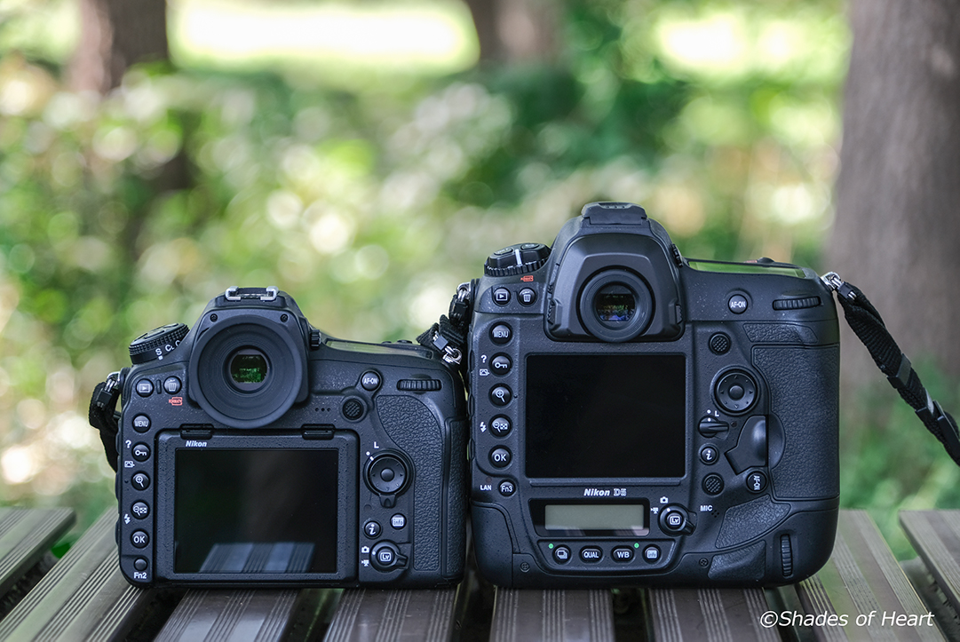 Nikon D850 | Shades Of Heart