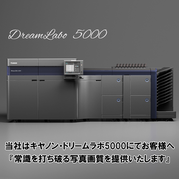 まとめ買い L判印刷 22枚 まとめ買い L判印刷 22枚 まとめ買い L判印刷